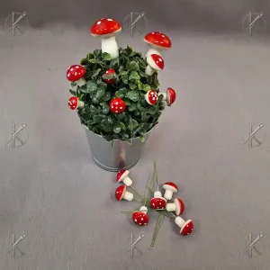 Gomba közepes