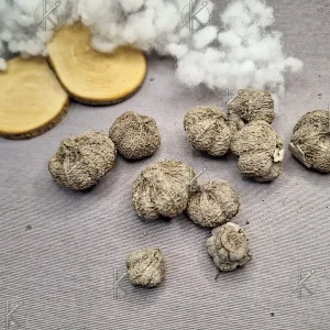 Fokhagyma natúr termés